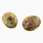 DINOSAURIO PONE HUEVO PEQ DIN66050 - Imagen 5